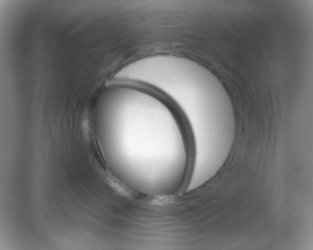 X0000081610720200701291427