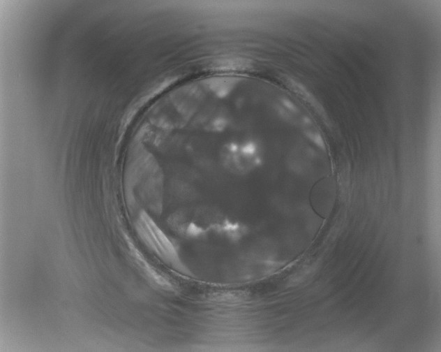 X0000081610721200701291426