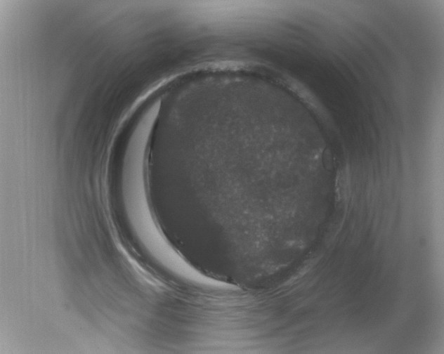 X0000081610722200701291426