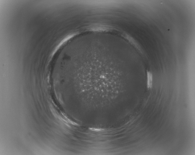 X0000081610723200701291426