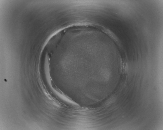 X0000081610724200701291426