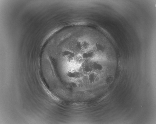 X0000081610725200701291426