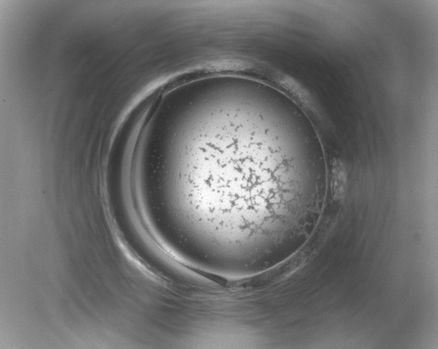 X0000081610726200701291426