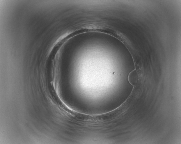 X0000081610727200701291426