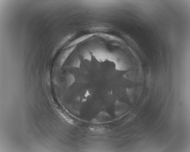 X0000081610729200701291426