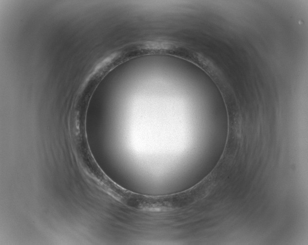 X0000081610731200701291426