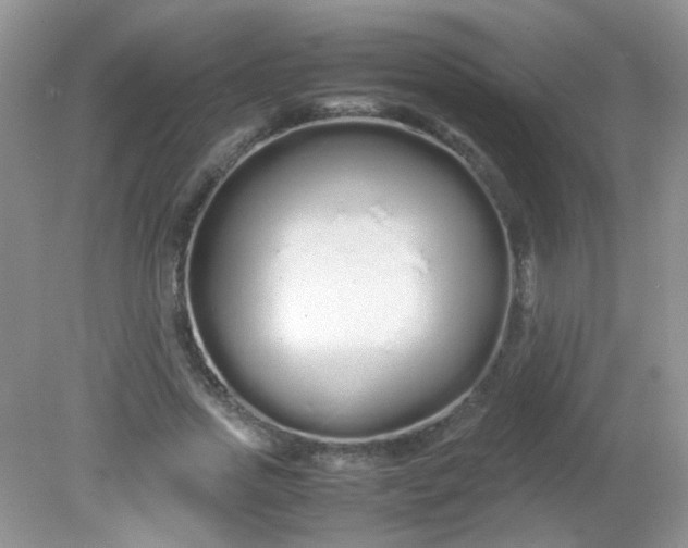 X0000081610733200701291426