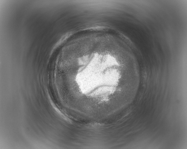 X0000081610734200701291426