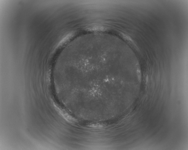 X0000081610735200701291426