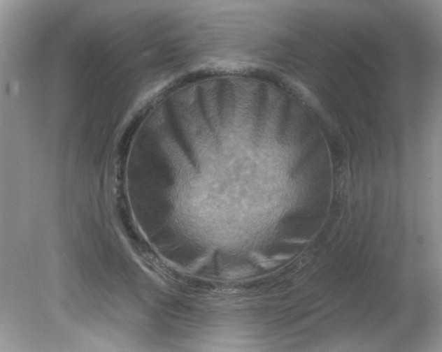 X0000081610736200701291426