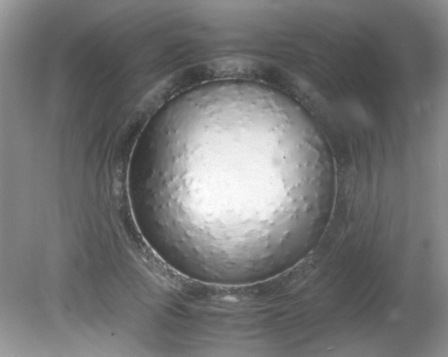 X0000081610737200701291426