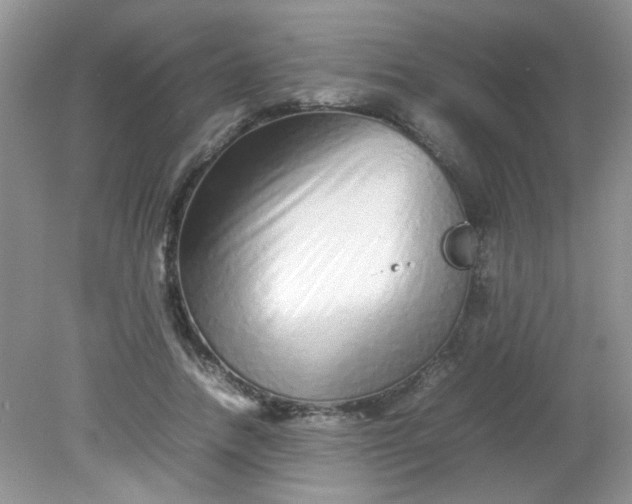 X0000081610738200701291426