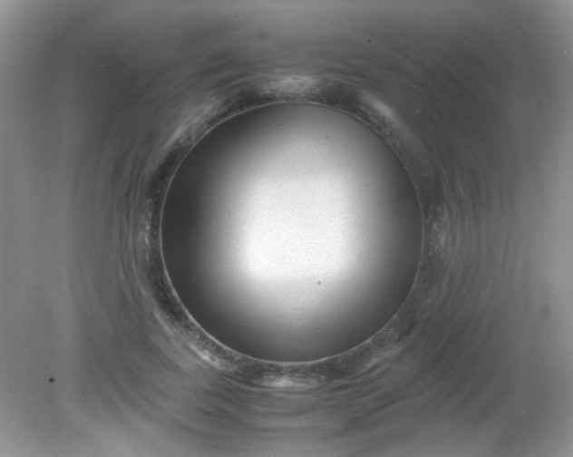 X0000081610739200701291426