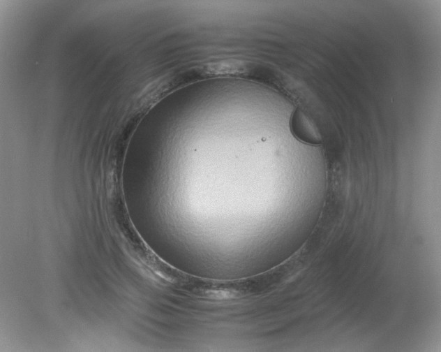 X0000081610741200701291426