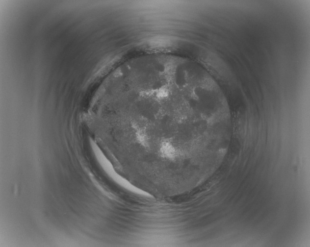 X0000081610742200701291426