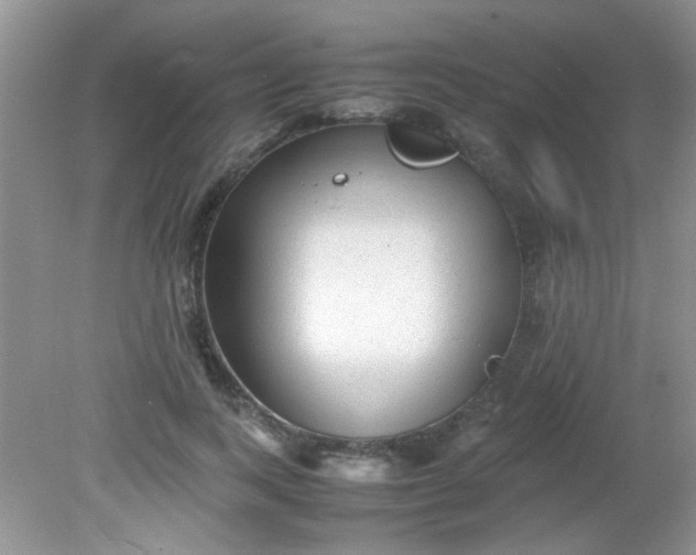 X0000081610743200701291426