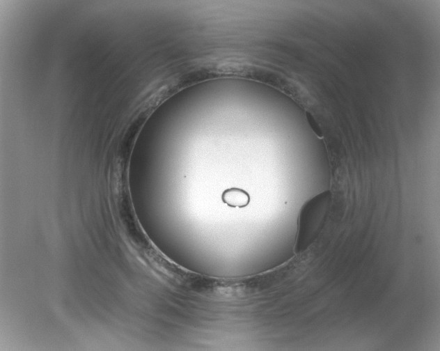 X0000081610744200701291426