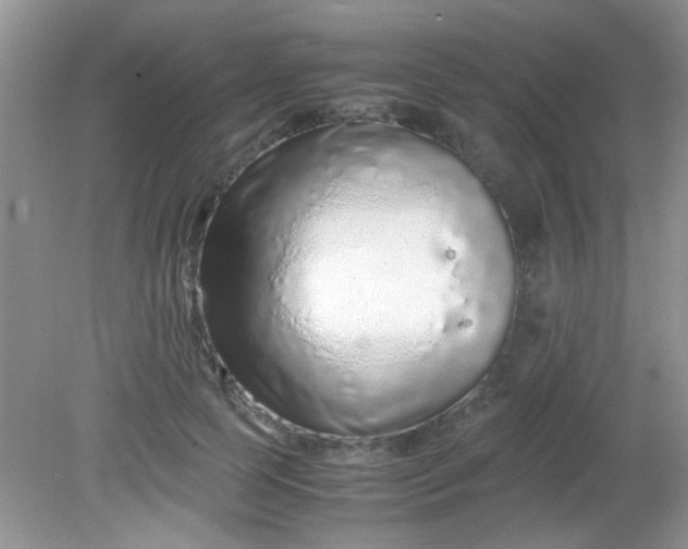 X0000081610745200701291426