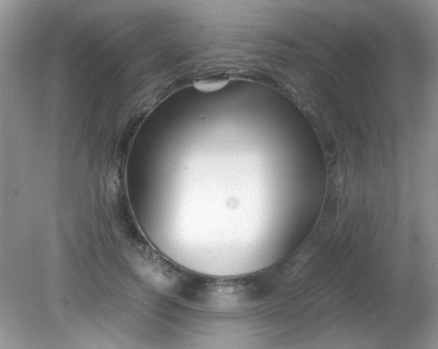 X0000081610746200701291427