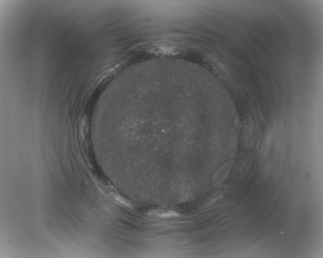 X0000081610747200701291427