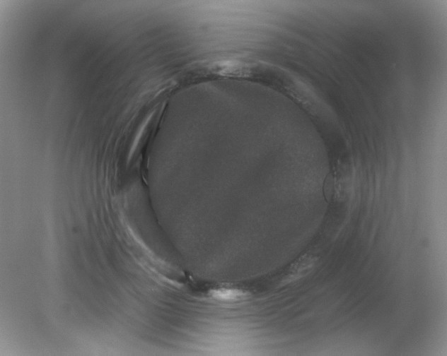 X0000081610748200701291427