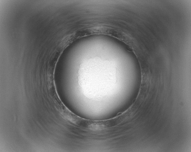 X0000081610749200701291427