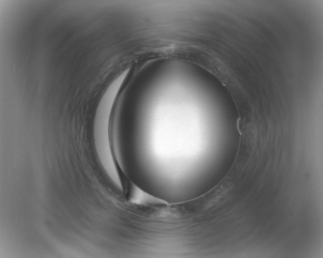 X0000081610750200701291427