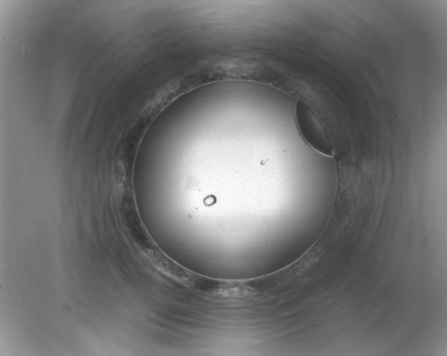 X0000081610752200701291427