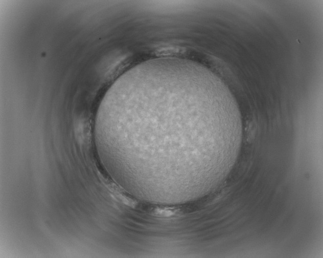 X0000081610753200701291427