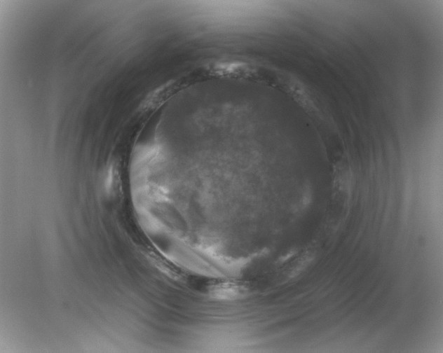 X0000081610754200701291427