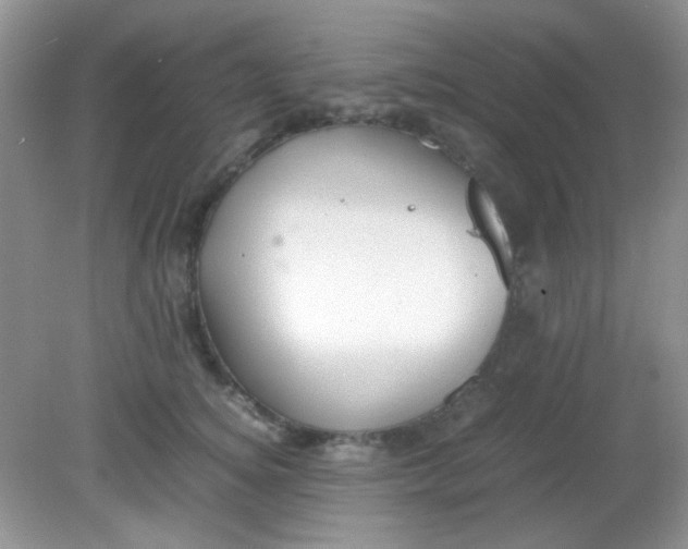 X0000081610756200701291427