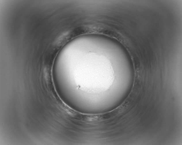 X0000081610757200701291427