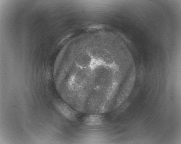 X0000081610758200701291427