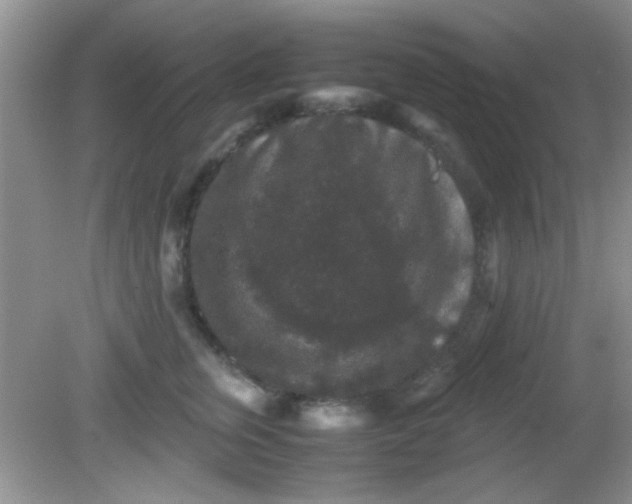 X0000081610759200701291427