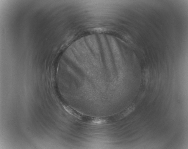 X0000081610760200701291427