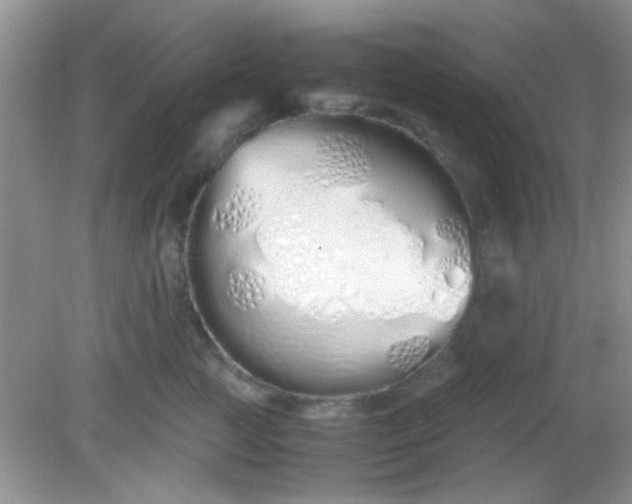 X0000081610761200701291427