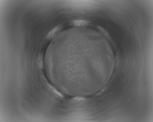 X0000081610762200701291427