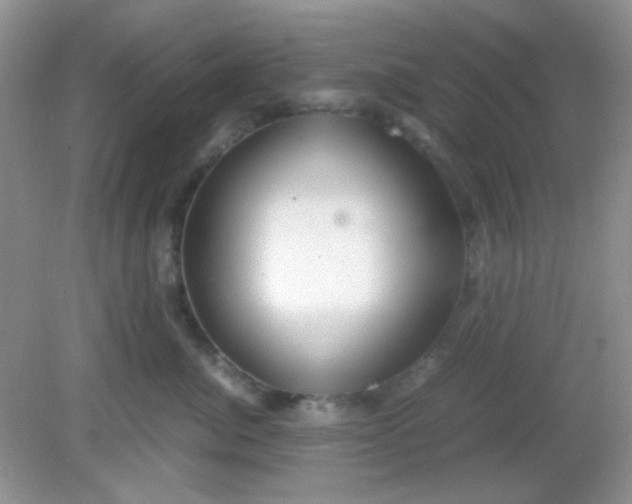 X0000081610764200701291427