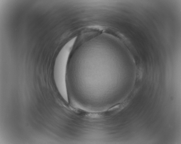 X0000081610766200701291427