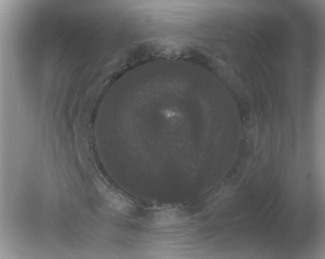 X0000081610769200701291426