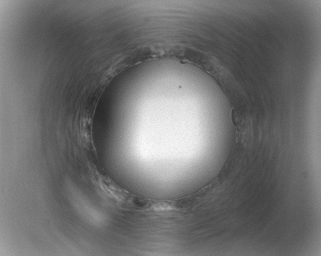 X0000081610770200701291426