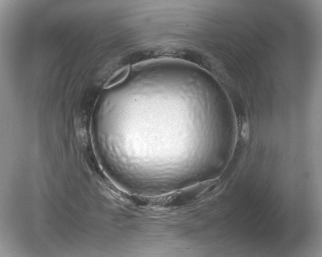 X0000081610771200701291426