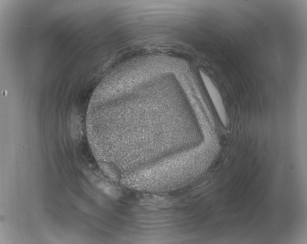 X0000081610772200701291426