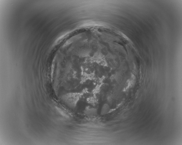 X0000081610775200701291426