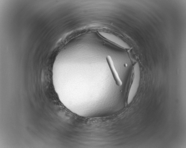 X0000081610776200701291426