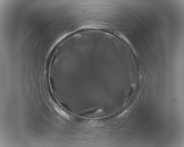 X0000081610779200701291426