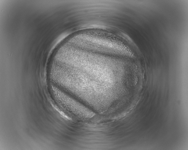 X0000081610780200701291426