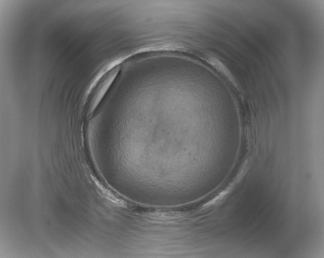 X0000081610781200701291426