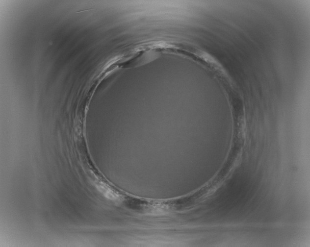 X0000081610785200701291426