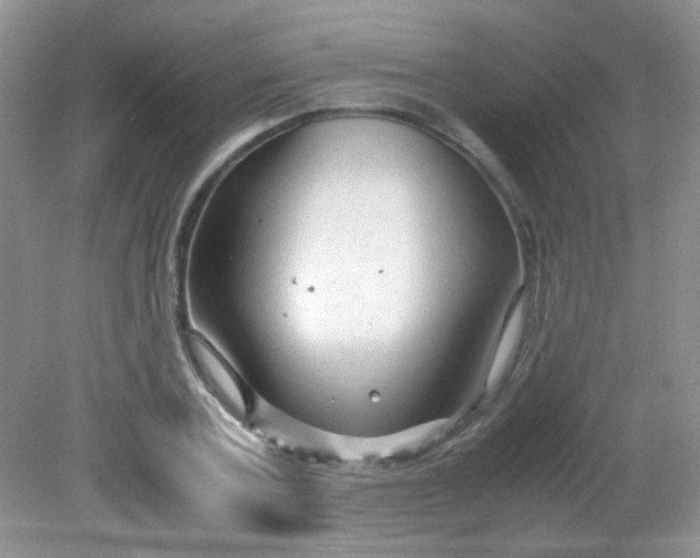 X0000081610787200701291426